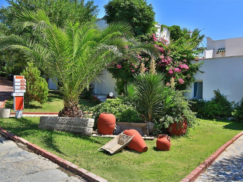 Rexene Resort Bodrum Zewnętrze zdjęcie