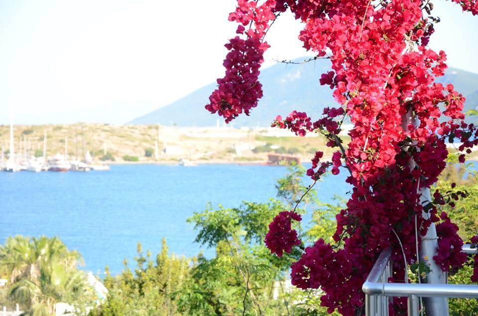 Rexene Resort Bodrum Zewnętrze zdjęcie